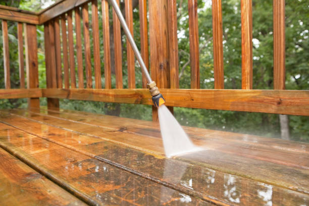 Best Residential Pressure Washing Services  in Sebewaing, MI